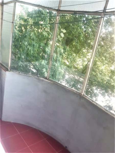 Militari, Virtutii, Orsova,